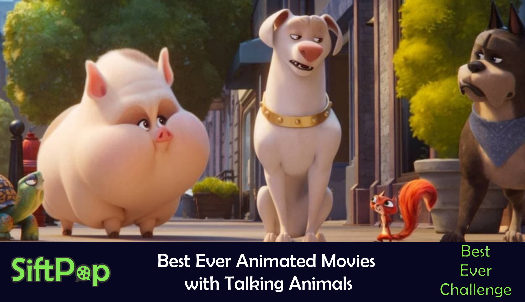 Cartoon shop animal movies